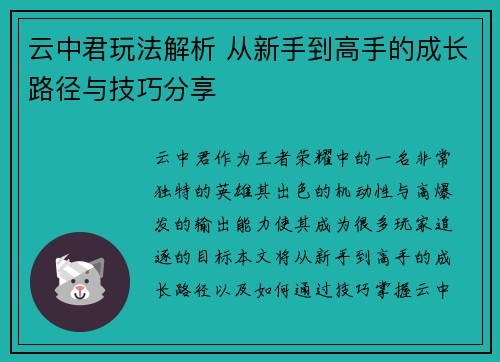 云中君玩法解析 从新手到高手的成长路径与技巧分享